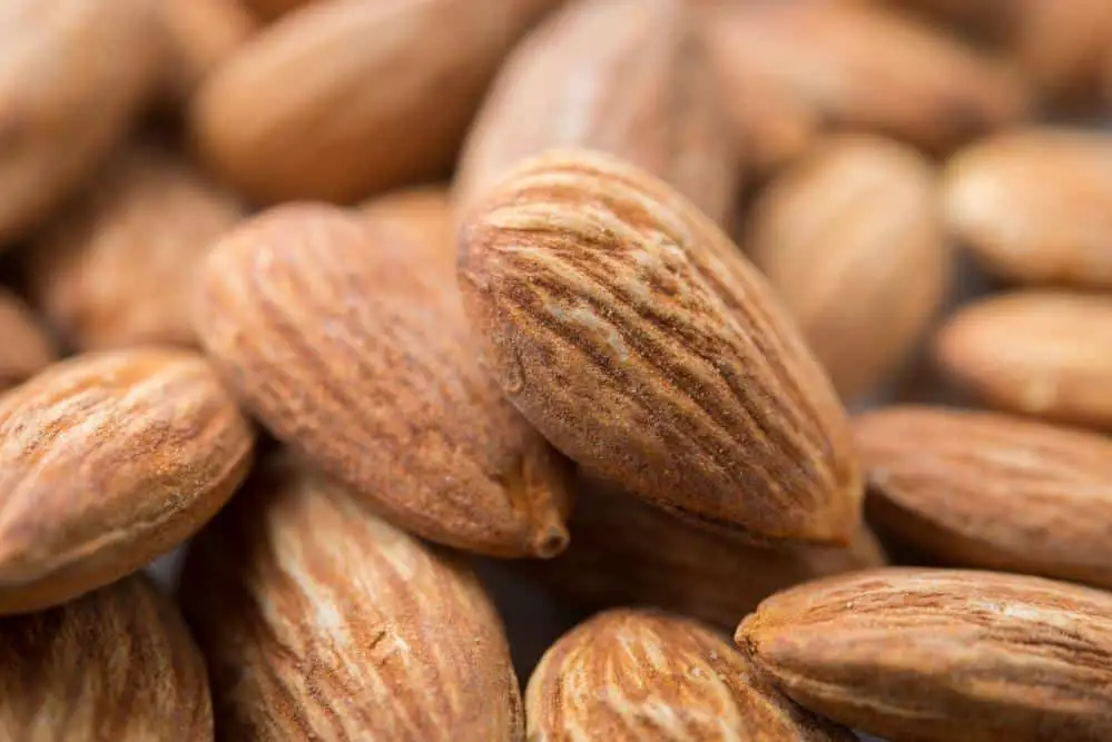 Close up of Almonds