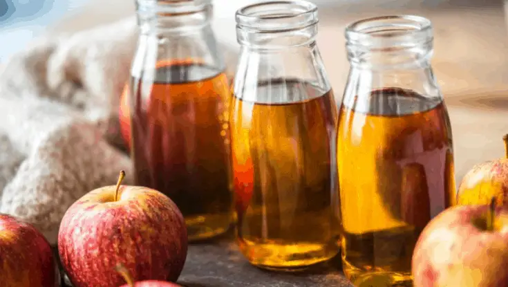 Vegan Apple Cider Vinegar Recipes